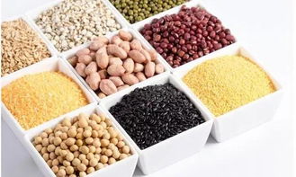 一青窈高纖蛋白奶昔攜手第十一屆全國小城鎮(zhèn)籃球邀請賽，共創(chuàng)健康未來