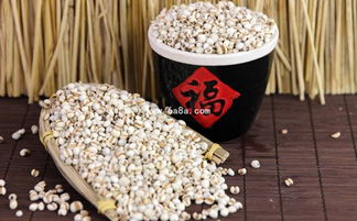 谷物營養與棉花種植 食物與纖維的雙重視角