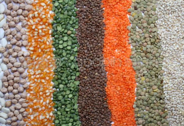 種子的奇跡 谷物與棉花的種植指南