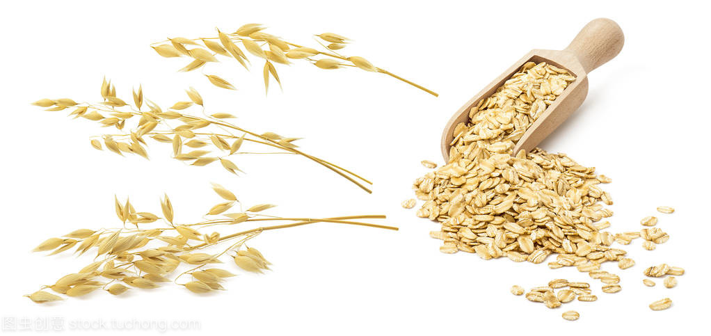 麥片粥與棉花種植 一場跨越時空的農業對話