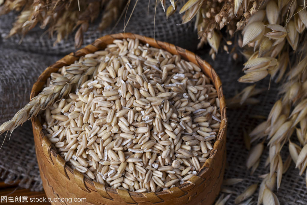 谷物儲藏與農耕文化的交融 從柳條盒中的燕麥到棉田中的谷穗